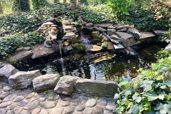 Terrein van de accommodatie