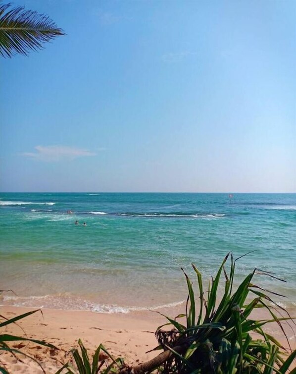 Playa