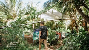 A man standing in a lush garden with a variety of plants and a water feature.
