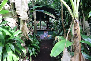 Shared Dormitory, Mixed Dorm, Kitchen, Garden Area