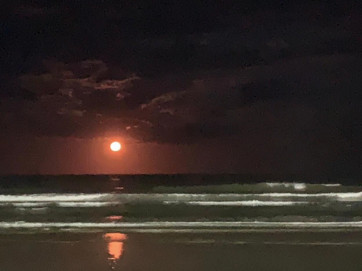 Plage à proximité, chaises longues