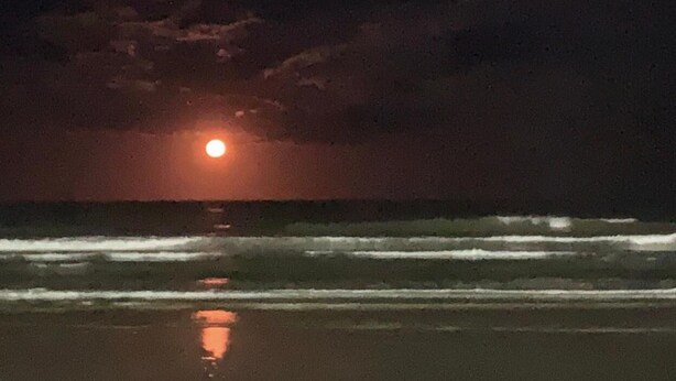 Une scène de plage avec des vagues, une lune et un ciel nuageux.