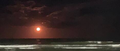 Plage à proximité, chaises longues