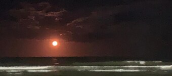 PERUSTALO: Nook, José de Anchieta ...   - Abarebeben rauniot - 