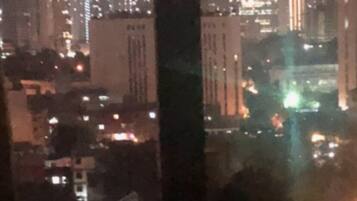 City view from property