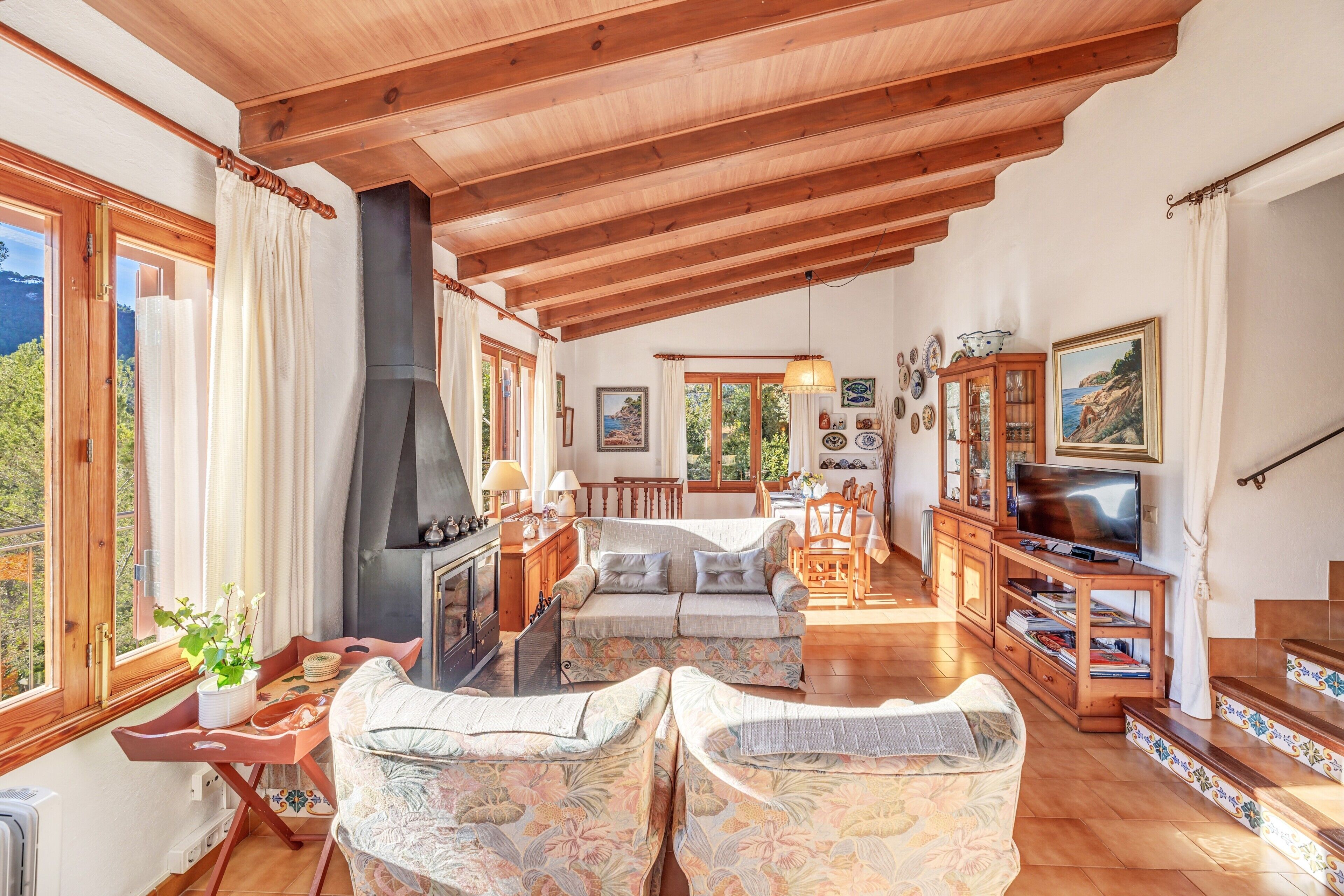 Televisie, een open haard, een dvd-speler en een stereo