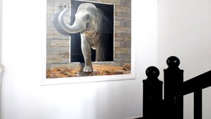 Unclassified image, 3 of 26, button - Hotel Elephant Border (Maraka)