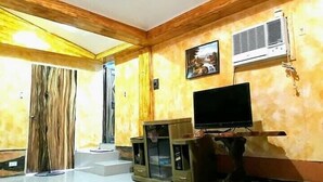 Un salon doté d’un téléviseur à écran plat, de murs recouverts de lambris en bois, d’un appareil de climatisation et d’une grande fenêtre avec des rideaux.