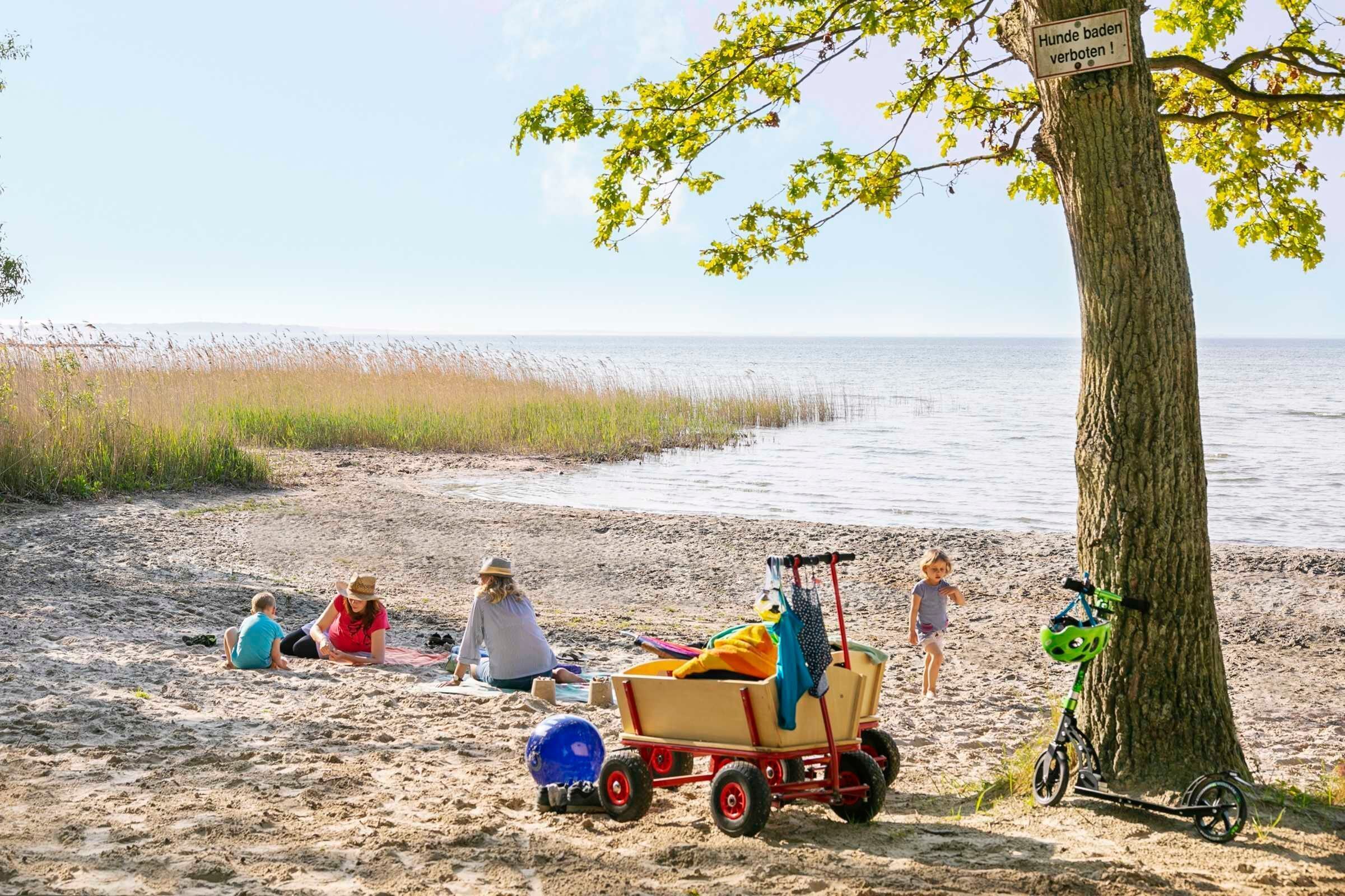 A beach scene with people sitting on the sand, a wagon, and a bicycle.
