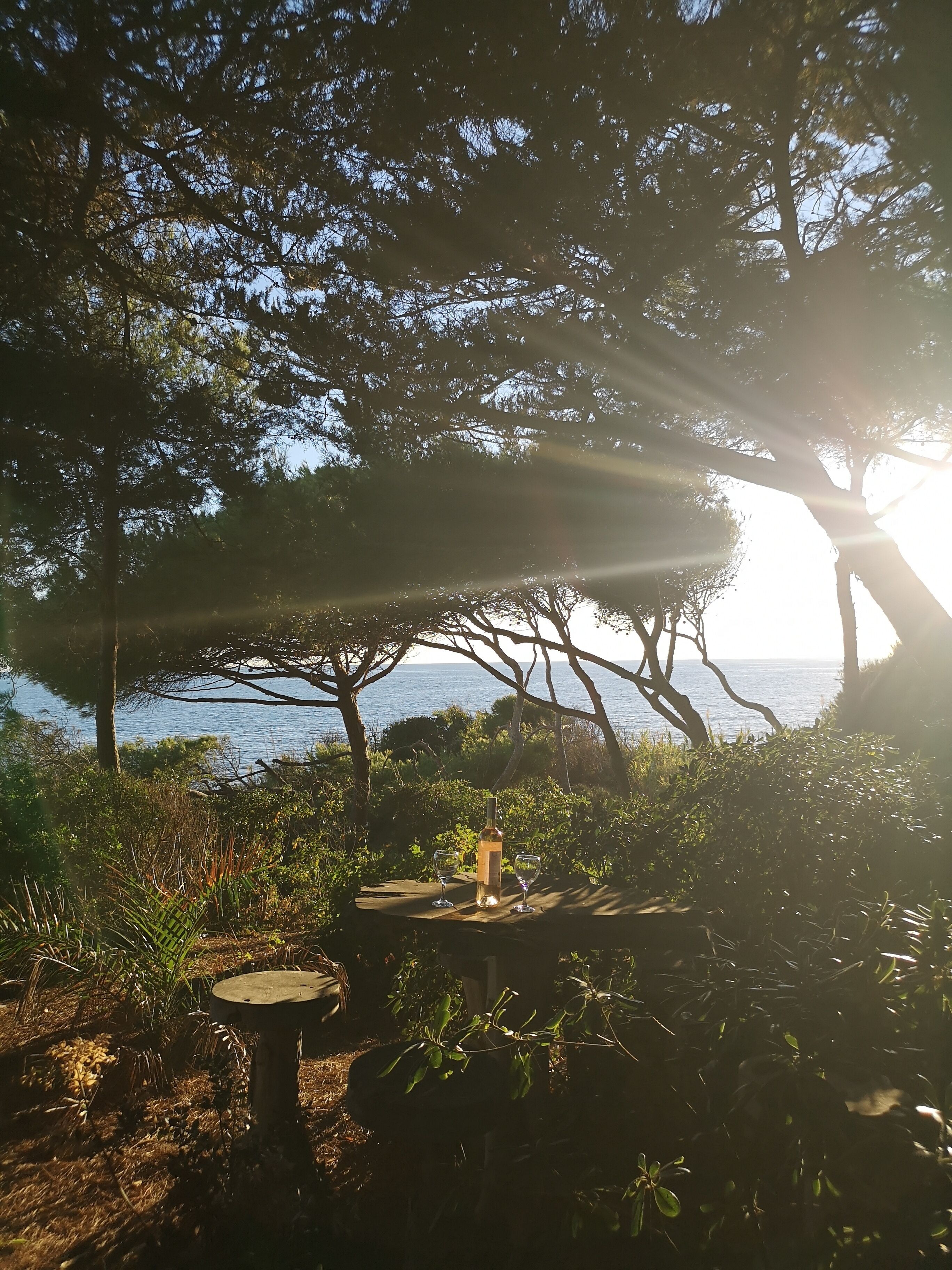 A table with a bottle and glasses, surrounded by trees and a view of the sea.