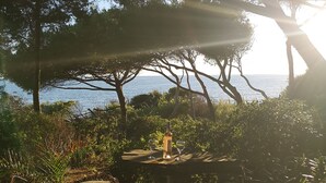 Ett bord med en flaska och glas, omgivet av träd och med utsikt över havet.