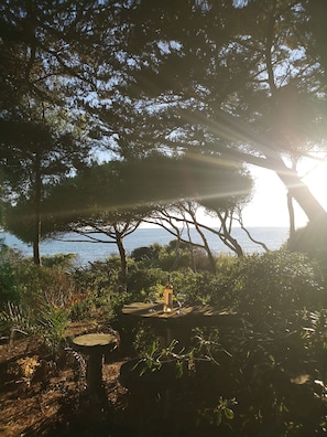 تناول الطعام بالخارج