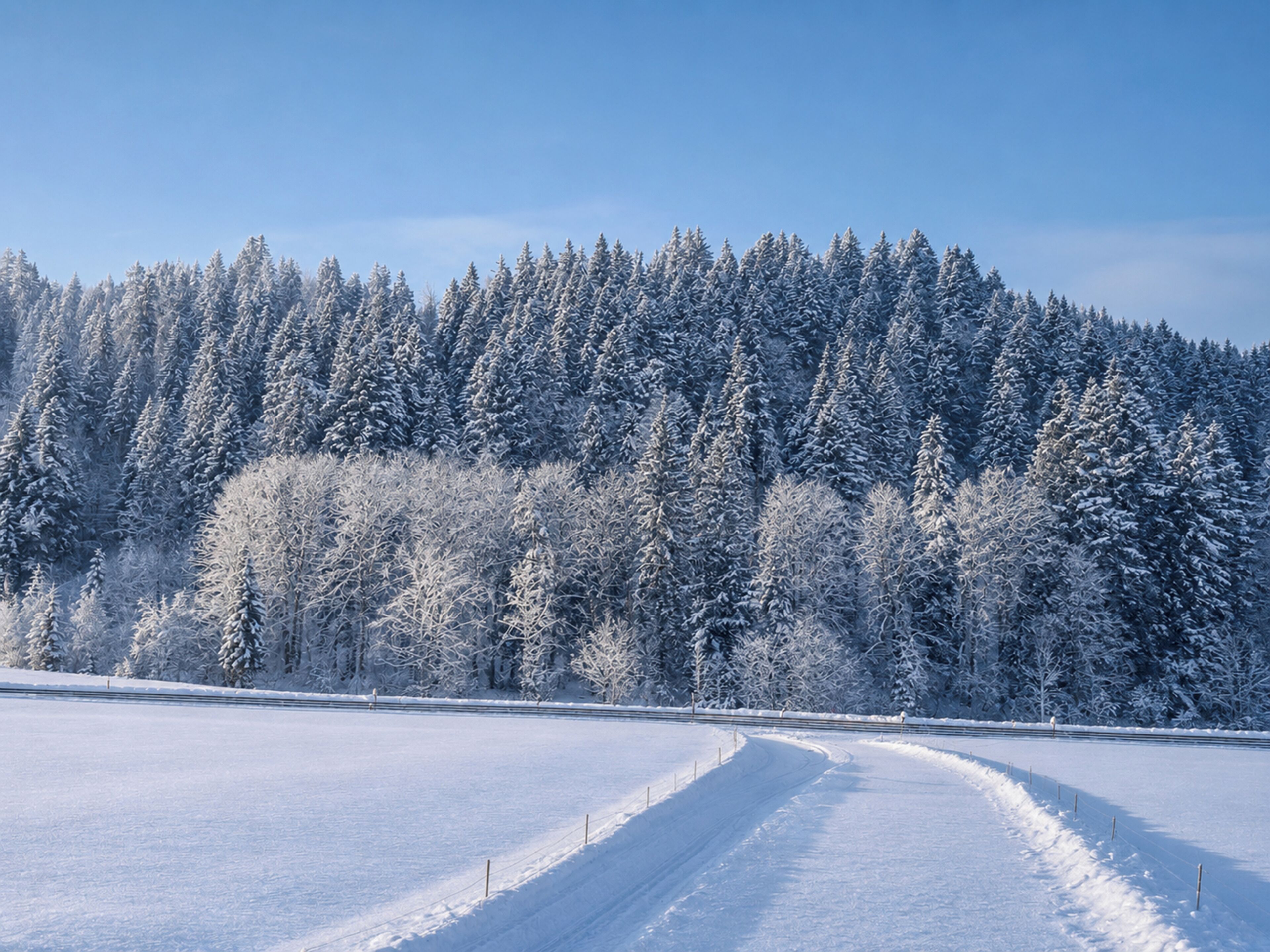 A snow-covered landscape with a clear sky, a frozen lake, and a forest in the background.