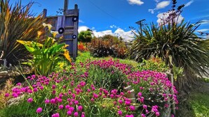 A garden with vibrant pink flowers, a wooden structure, and a clear blue sky.