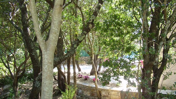 Uma trilha de pedra cercada por árvores num jardim.