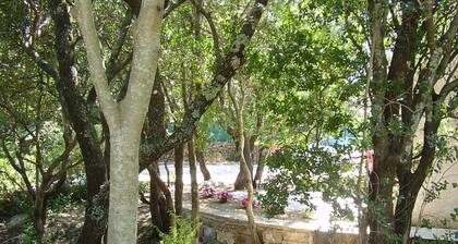 Large villa in a haven of peace