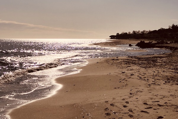 Plage, serviettes de plage