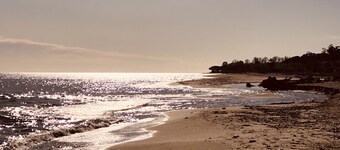 Villa sul mare con terrazza e giardino