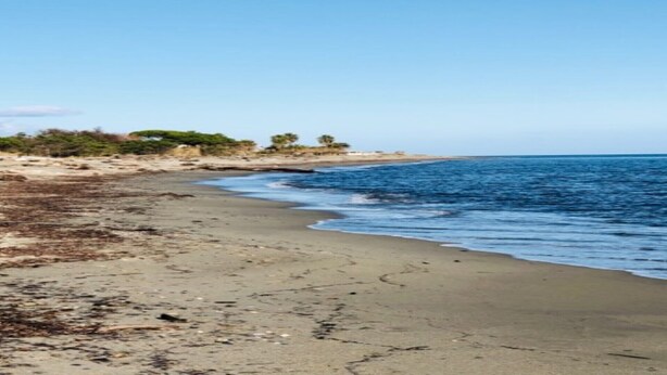 Ein Strand mit sandigem Ufer und ruhiger See.
