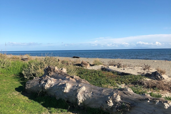 På stranden og strandhåndklær