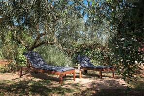 Property grounds - Charming holiday home with a garden and a beautiful terrace (PULA)