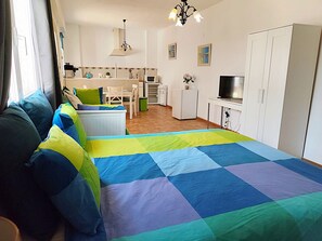 A bedroom with a bed, a kitchenette, a TV, and a wardrobe.
