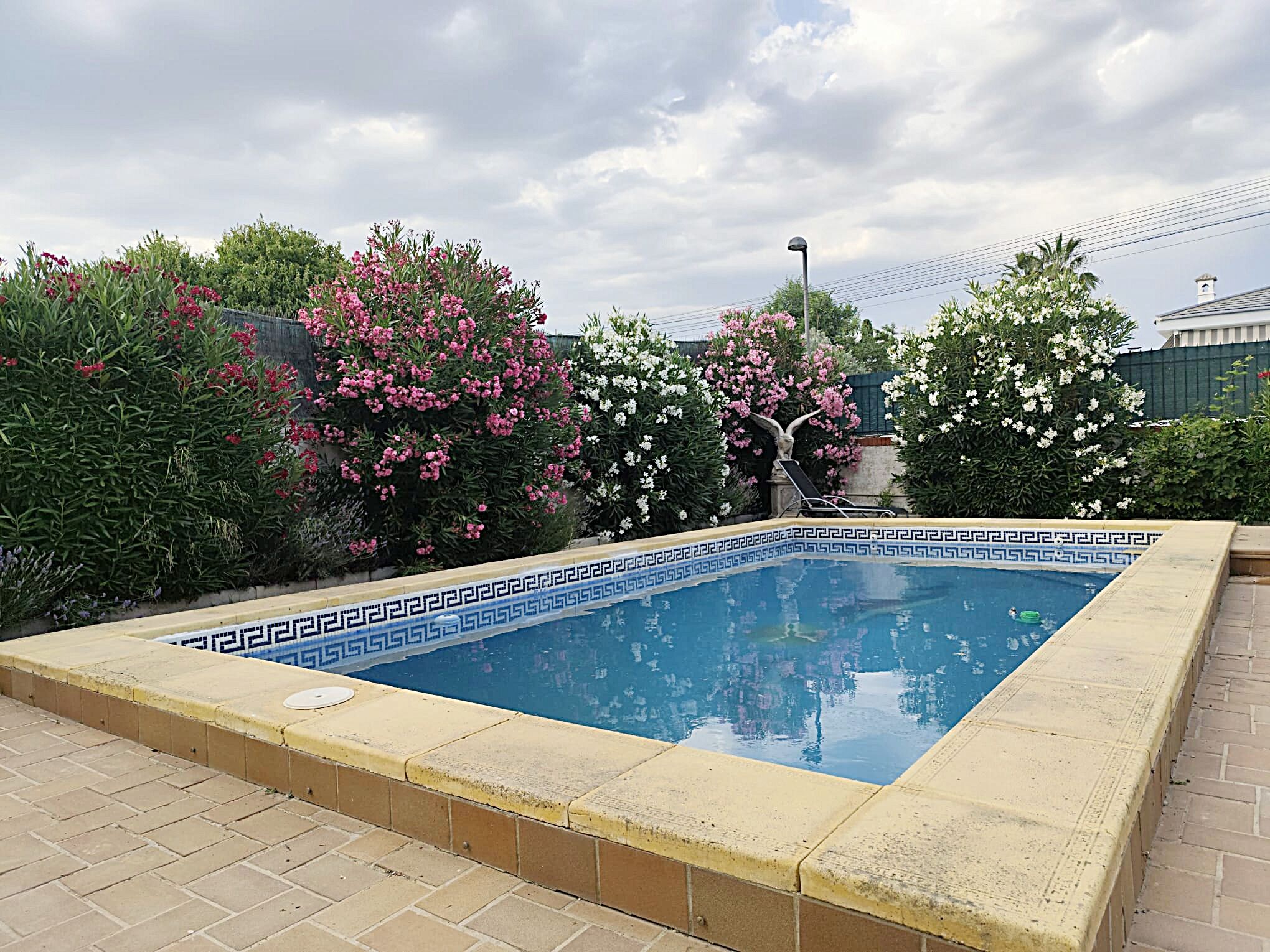 Ein rechteckiger Swimmingpool mit dekorativem Rand, umgeben von üppiger Bepflanzung und blühenden Pflanzen.