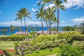 A tropical resort with palm trees, a well-maintained garden, and a view of the ocean.