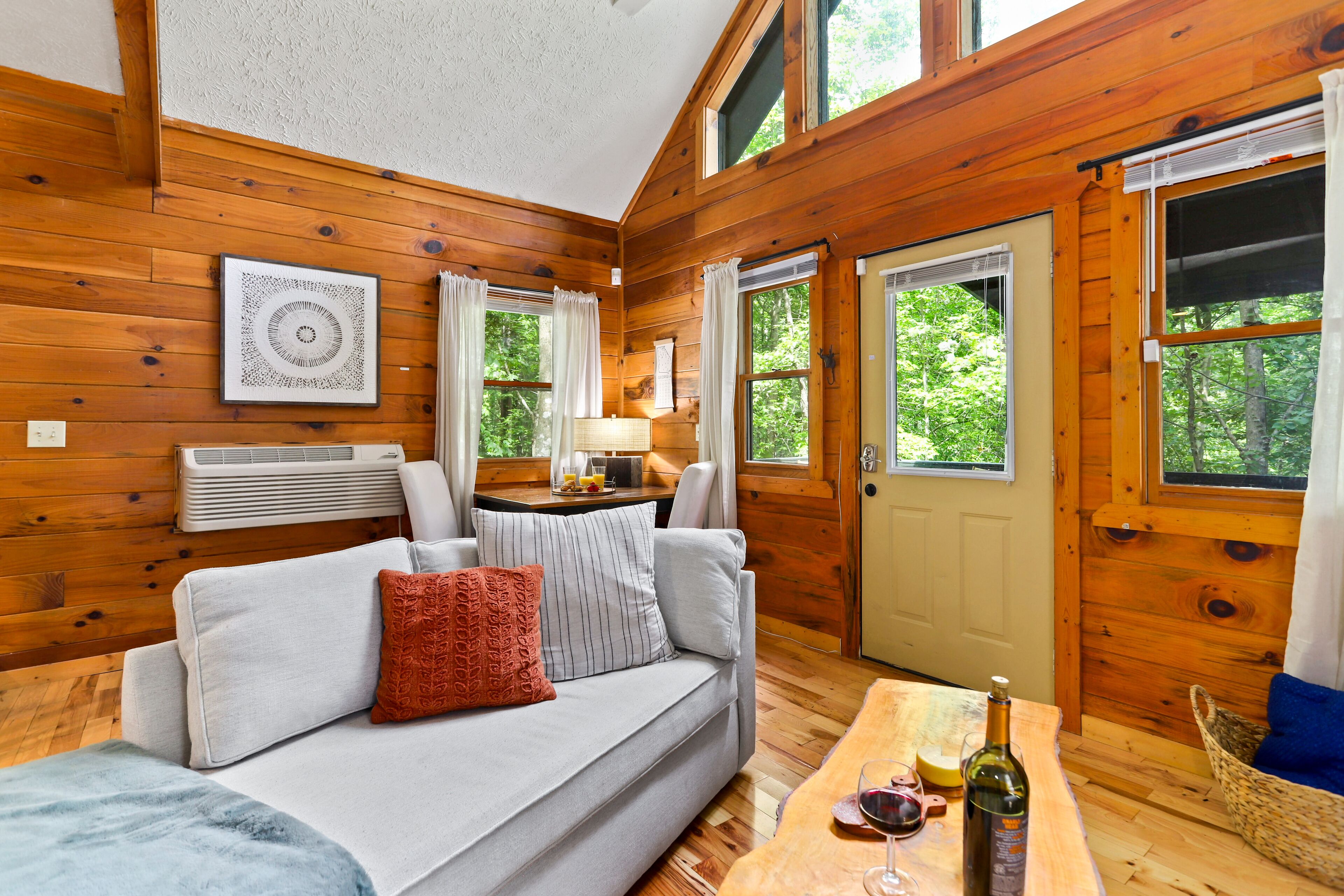 Smart TV, fireplace, books, video library