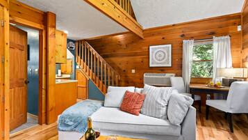 Smart TV, fireplace, books, video library