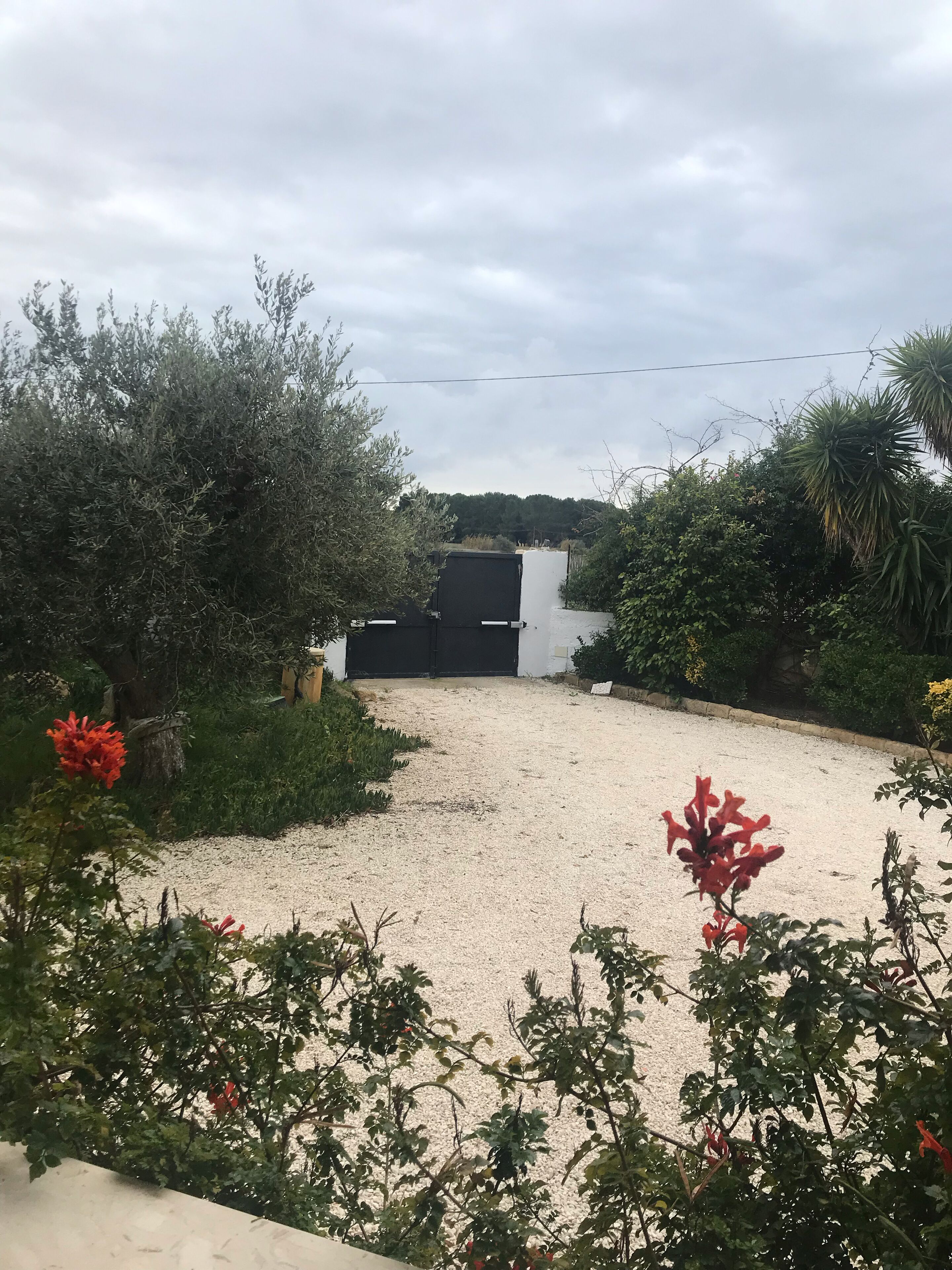 Parco della struttura