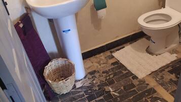 Bathtub, bidet, towels, soap