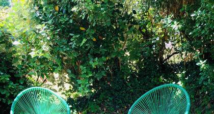 LE BOUT DU MONDE
maison avec terrasse plein sud et jardin avec accès à la plage