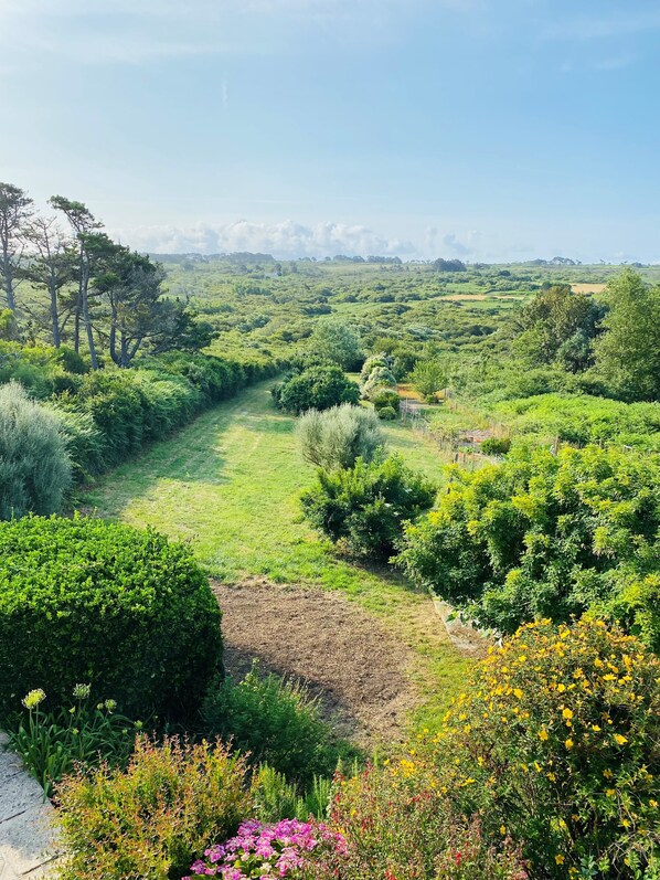A lush, green landscape with a variety of trees and shrubs, a clear path, and a distant view of a town.