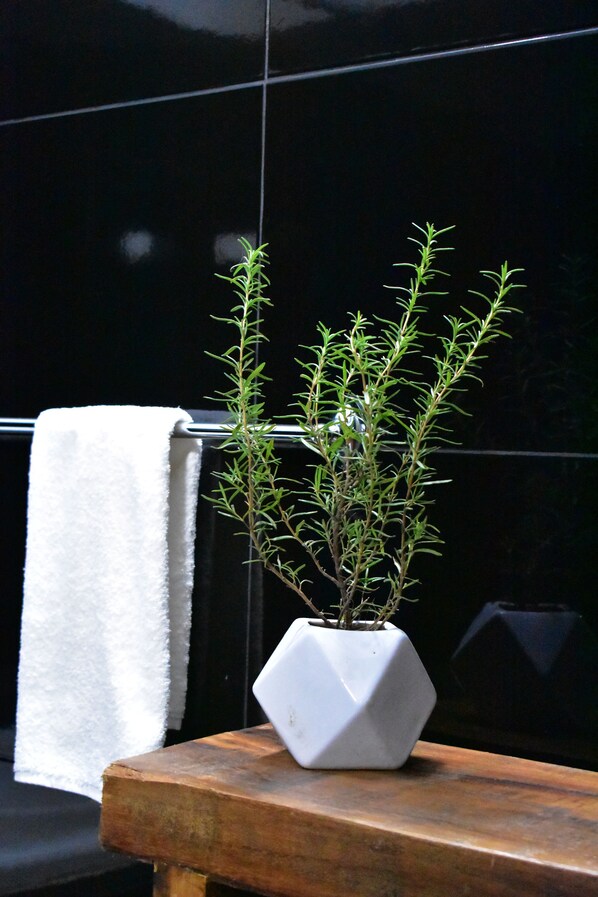 Toallas, jabón, shampoo, papel de baño