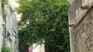 A narrow cobblestone alley with stone walls, a wooden chest, and a large potted plant. - Provencal farmhouse with pool at the foot of Mont-Ventoux (Malaucène)