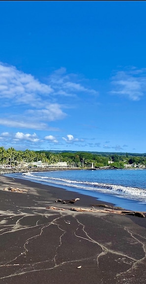 Enjoy a serene beach scene with palm trees and calm waters.