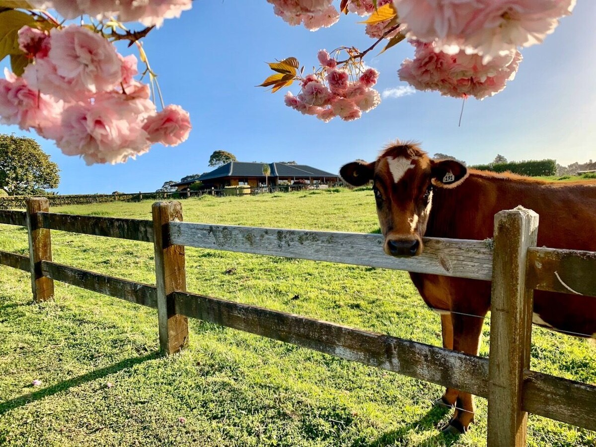 Host profile image