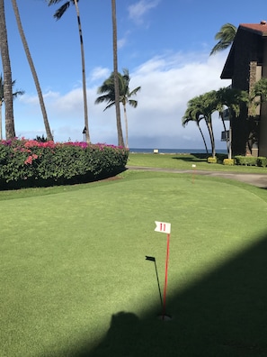 A golf course with a flagstick marked '11', palm trees, and a building with a red roof.