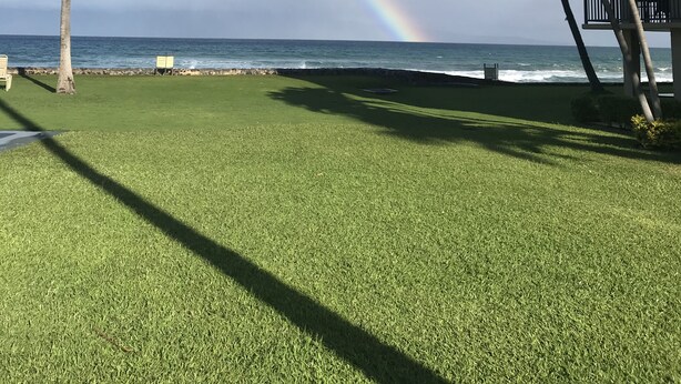 Een gazon met uitzicht op de oceaan en een regenboog.