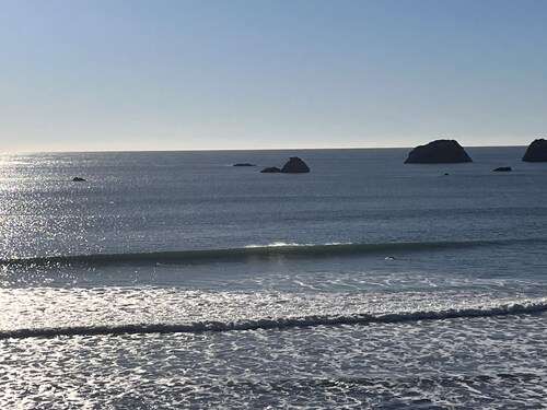 Pebble Beach House, frente al mar, avistamiento de ballenas, bosques de secoyas, surf, puestas de sol