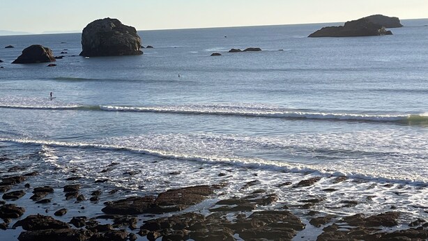 A coastal scene with rocky outcrops and calm sea. - Oceanfront Retreat. Sunset Views. Whale Watching. Redwood Groves, 2 King Beds (Crescent City)