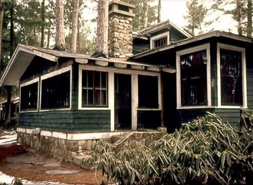 Premier Cabin 1 with Lake View