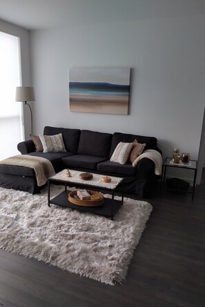 تلفزيون، مشغل دي في دي