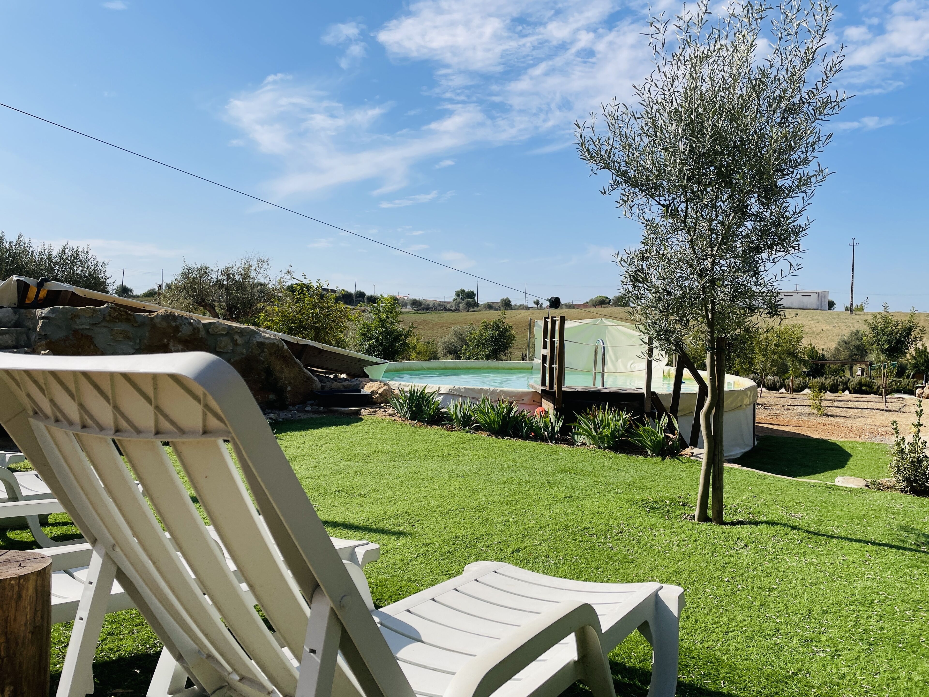 A backyard with a swimming pool, a covered area, and a tree.