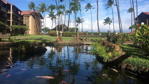 A serene hotel courtyard with a koi pond, palm trees, and a wooden bridge. - Oceanfront, King Bed, AC, Wi-Fi, Hot Tub, Pool (Lahaina)