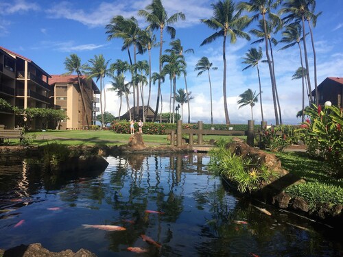 Papakea E204, Ocean view, King bed Suite