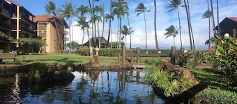 Papakea E204, Ocean view, King bed Suite