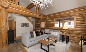 Télévision, cheminée, jeux vidéo