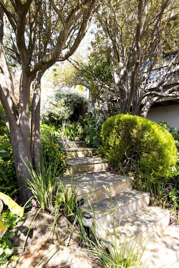 A stone staircase surrounded by lush greenery and trees. - The Park Apartment - Dromana holiday apartment (Dromana)